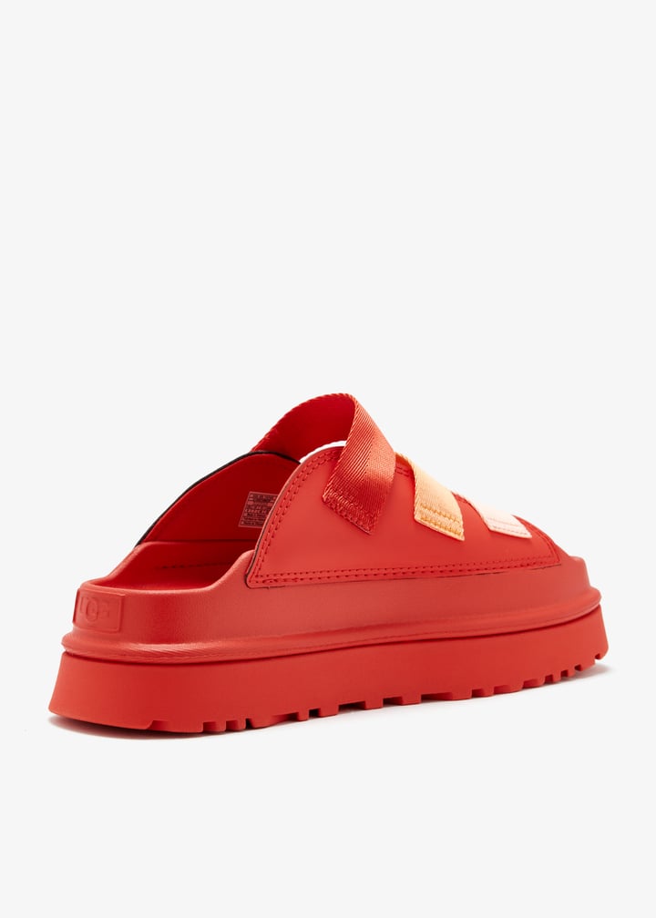 1167430-rdpp_6.jpg?ts=20260220020630