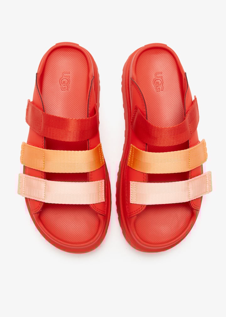 1167430-rdpp_7.jpg?ts=20260220020630