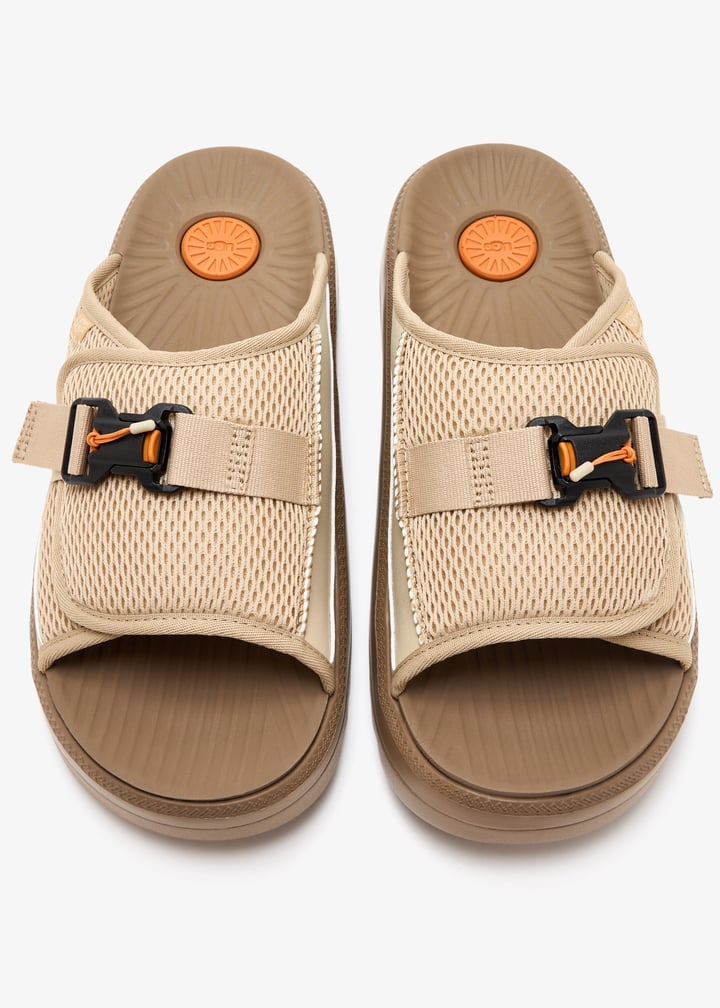 1167871-mdsd_7.jpg?ts=20250326030512