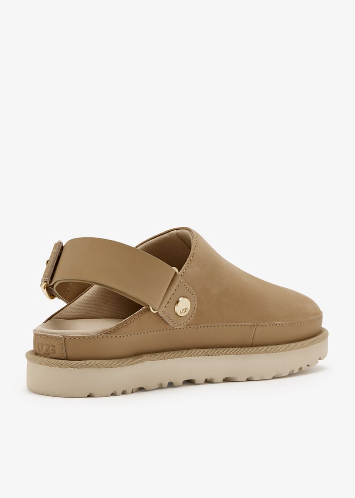 1169590-mdsd_6.jpg?ts=20260113114541