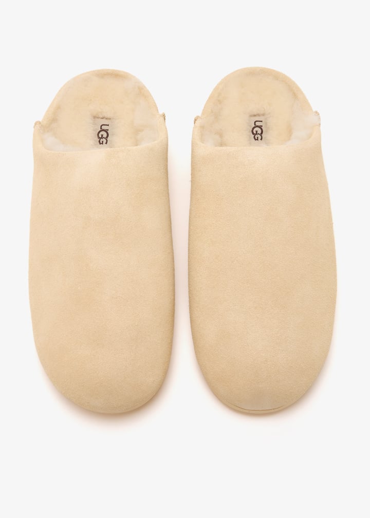 1171390-pbt_7.jpg?ts=20250820030523