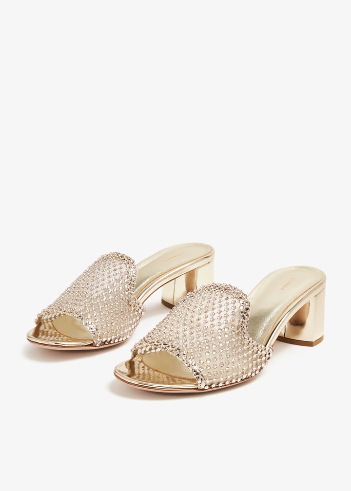 1303b050rbppste907_7.jpg?ts=20240308030515