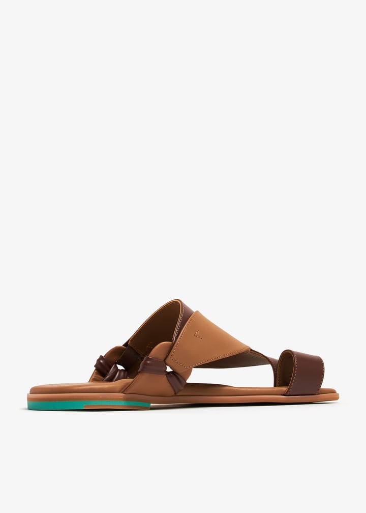 1445-m-ashjaar-bubemi_6.jpg?ts=20240420033536