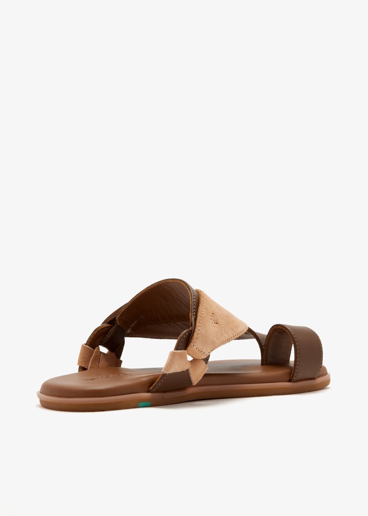 1447-b-gerab-brlicm_6.jpg?ts=20260222042545