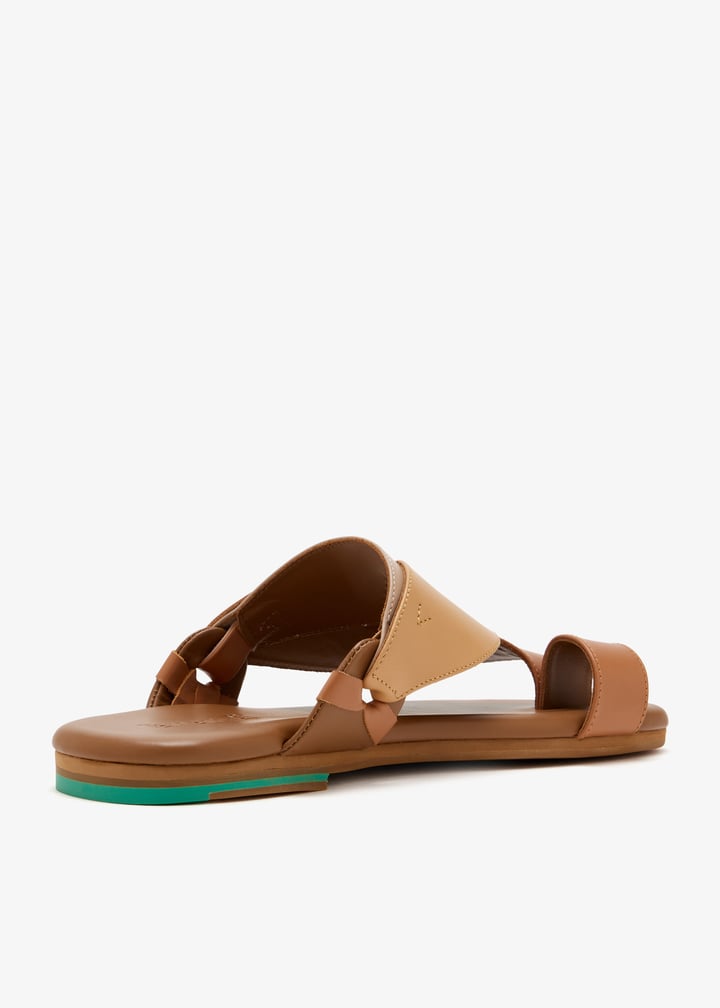 1447-m-hayyin-cambro_6.jpg?ts=20260124142725