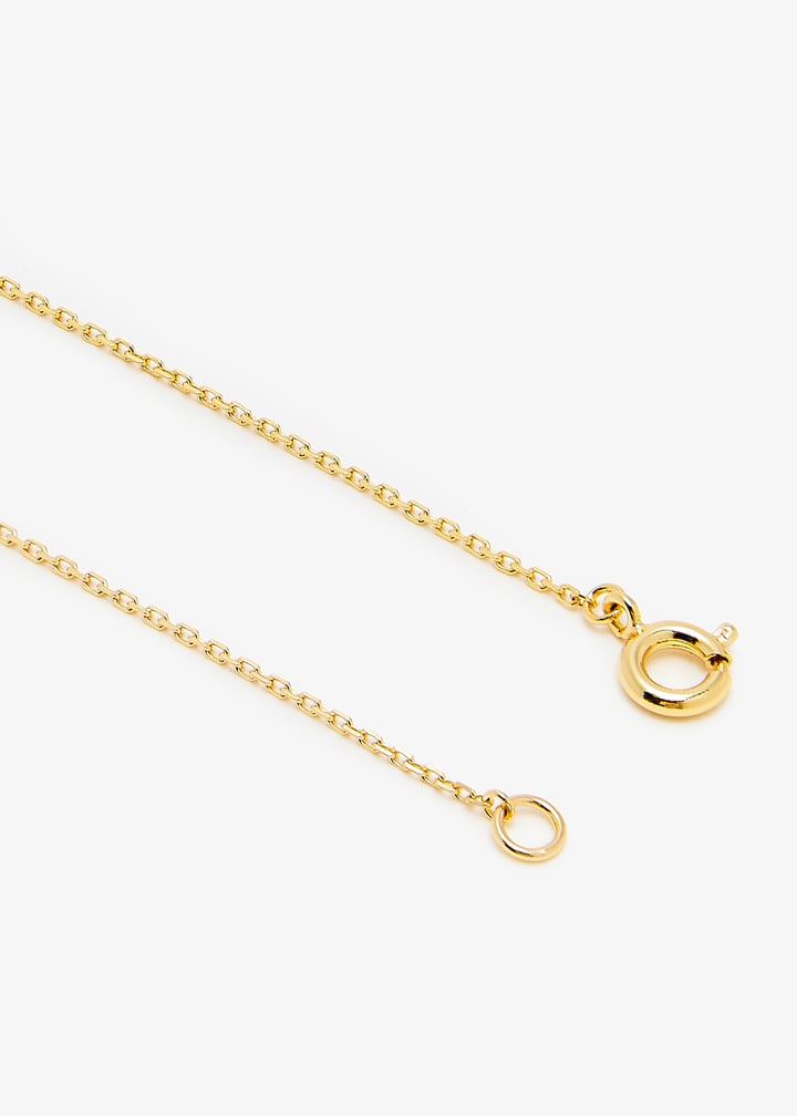 157210-137_5.jpg?ts=20250208030513