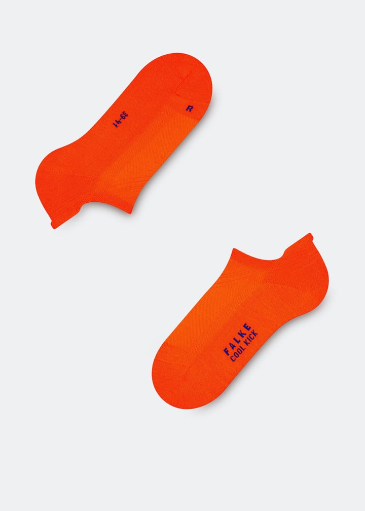 16609-8034_3.jpg?ts=20230922030509