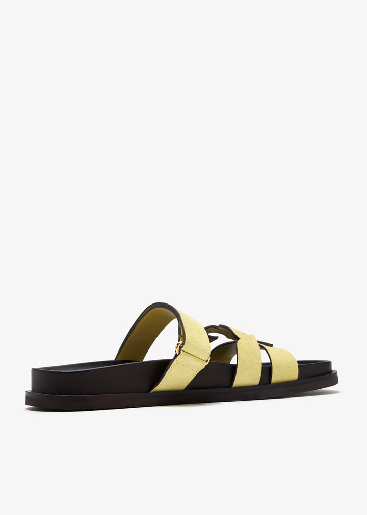 167709-700_6.jpg?ts=20250330031012