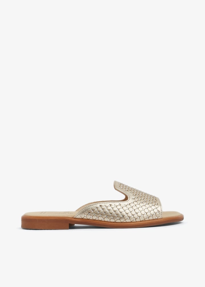 221866-champa_1.jpg?ts=20240207033528