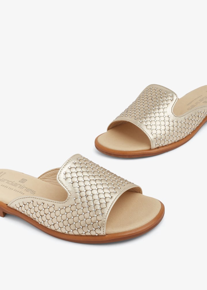 221866-champa_2.jpg?ts=20240207033528