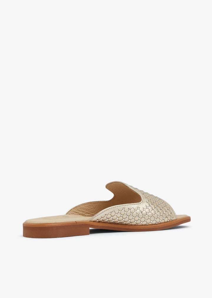 221866-champa_3.jpg?ts=20240207033528