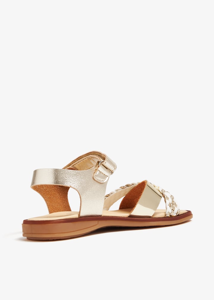 241742-maesoi_6.jpg?ts=20240207033533