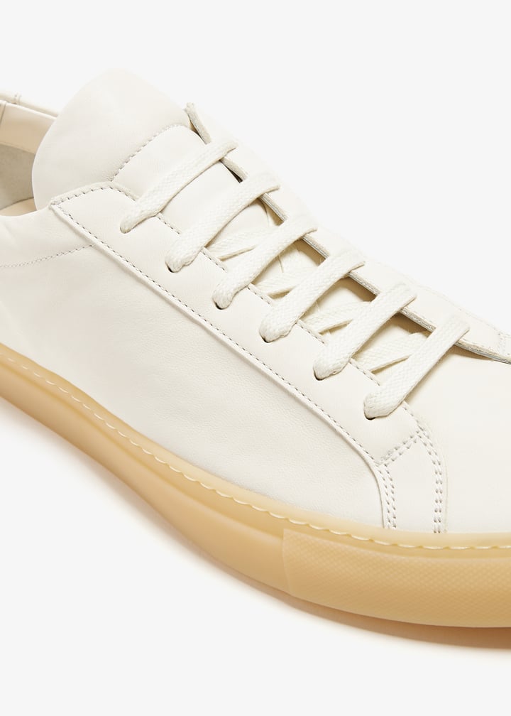 2433-4102_5.jpg?ts=20240910041015