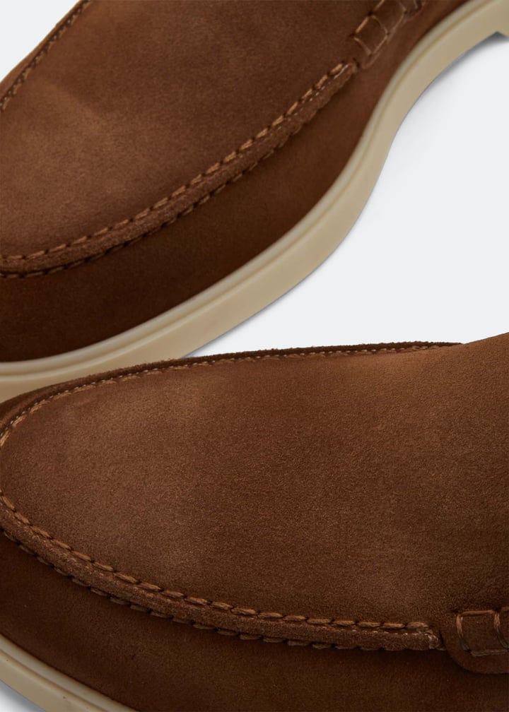 24402-castor_3.jpg?ts=20221220181620