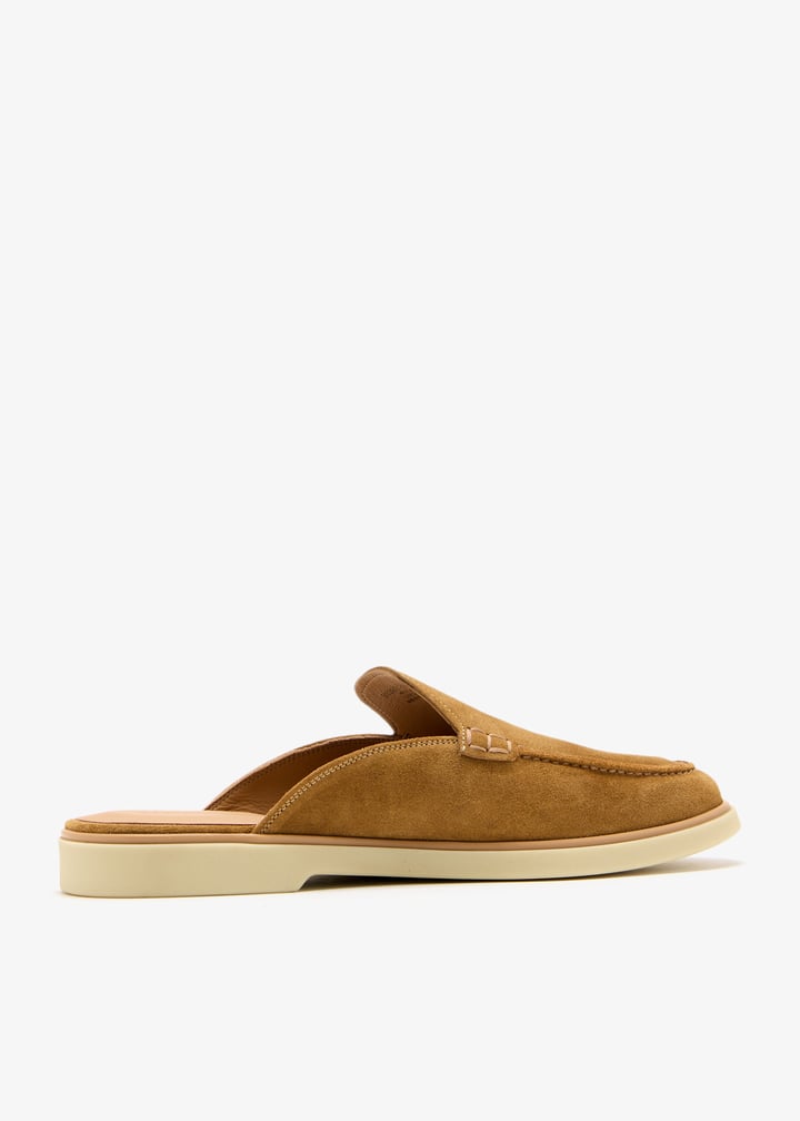 26203-segale_6.jpg?ts=20250513030539