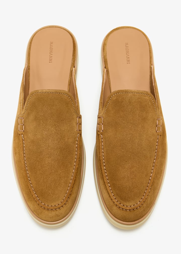 26203-segale_7.jpg?ts=20250513030539