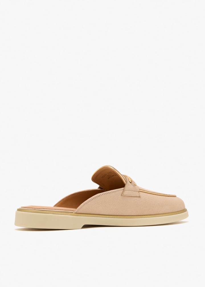 26231-camel_6.jpg?ts=20251212121612