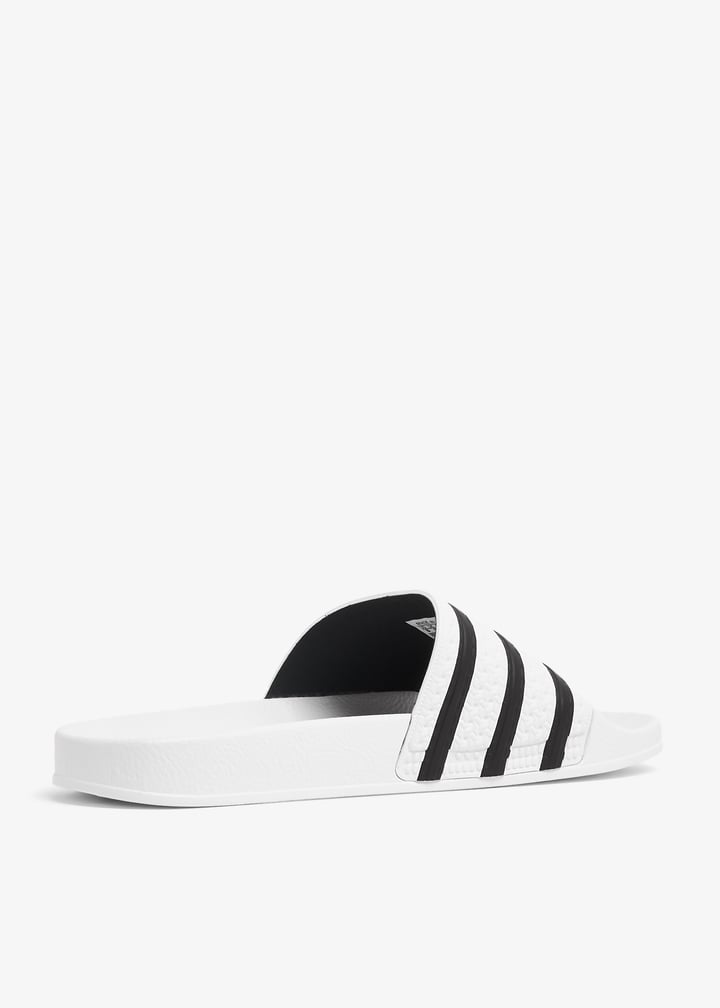 280648-whnowh_4.jpg?ts=20240228034517