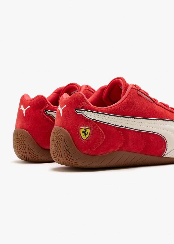 309125-02_5.jpg?ts=20260204022113