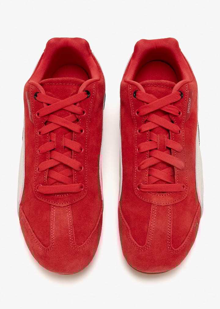 309125-02_7.jpg?ts=20260204022113