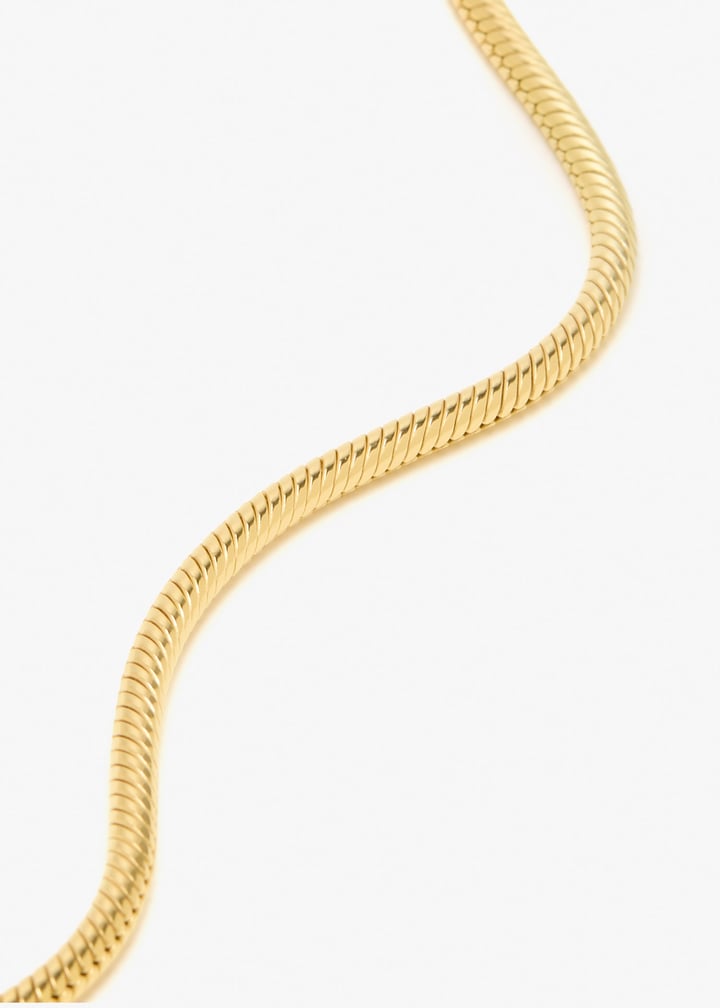 321426002-gold_5.jpg?ts=20260207021153