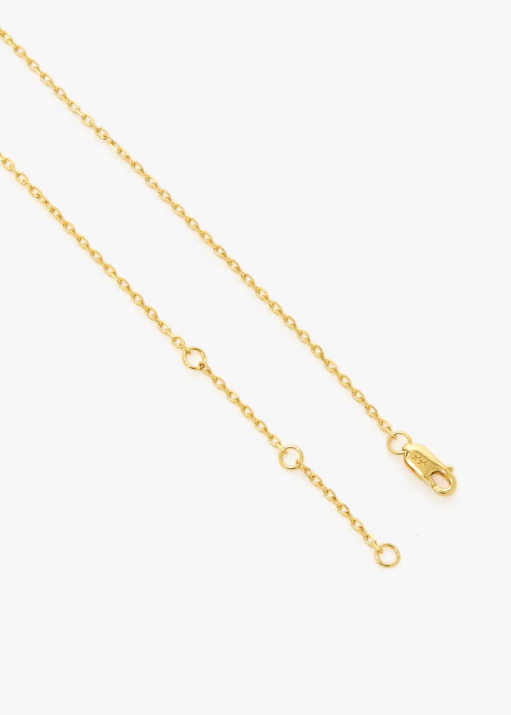 323626002-gold_6.jpg?ts=20260207020044