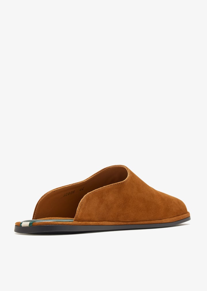 32808-visone_6.jpg?ts=20260306023557