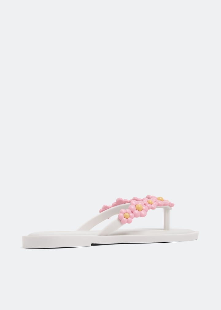 33716-al254_3.jpg?ts=20230128033008