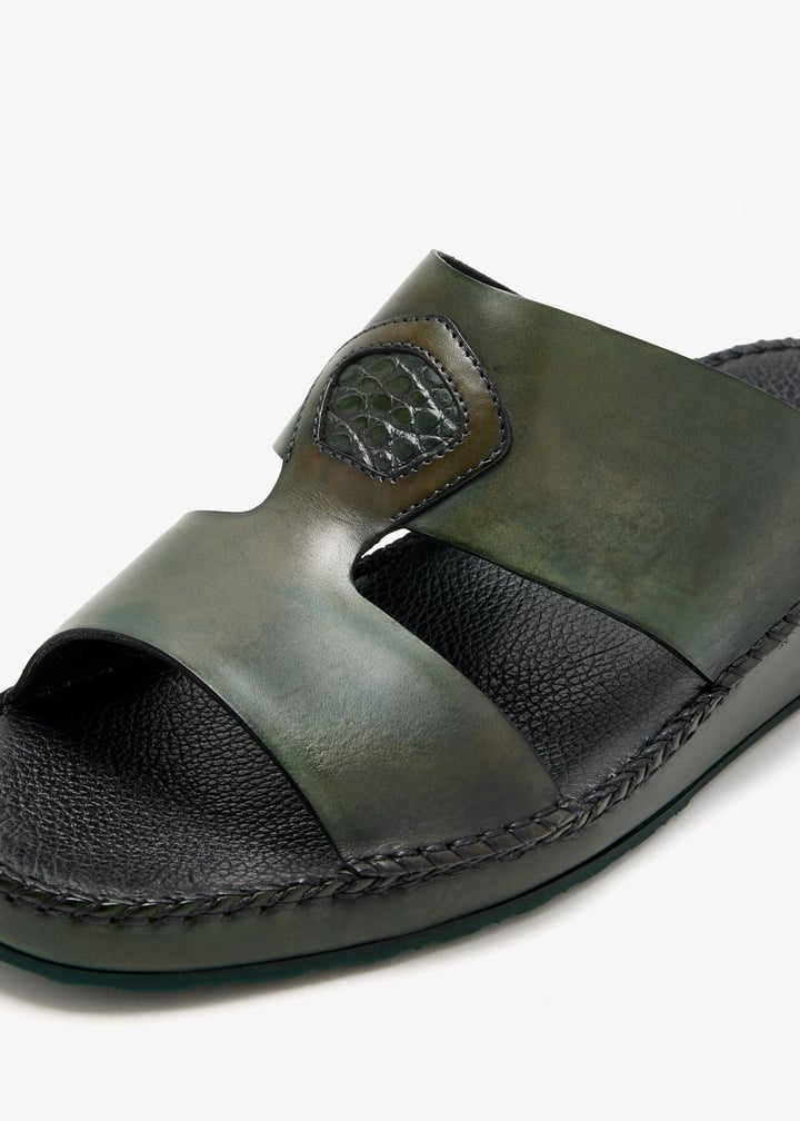 37258-turtle_5.jpg?ts=20260326021530