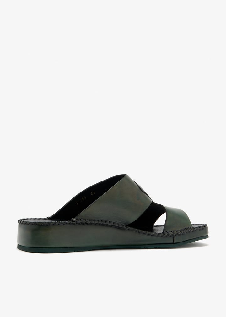 37258-turtle_6.jpg?ts=20260326021530