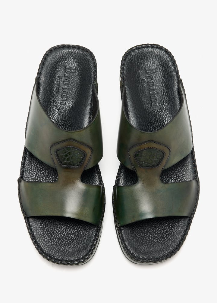 37258-turtle_7.jpg?ts=20260326021530