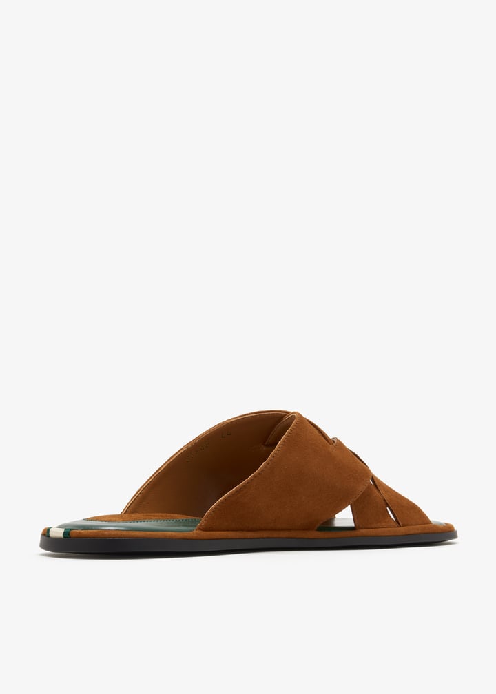 37448-visone_6.jpg?ts=20260306023603