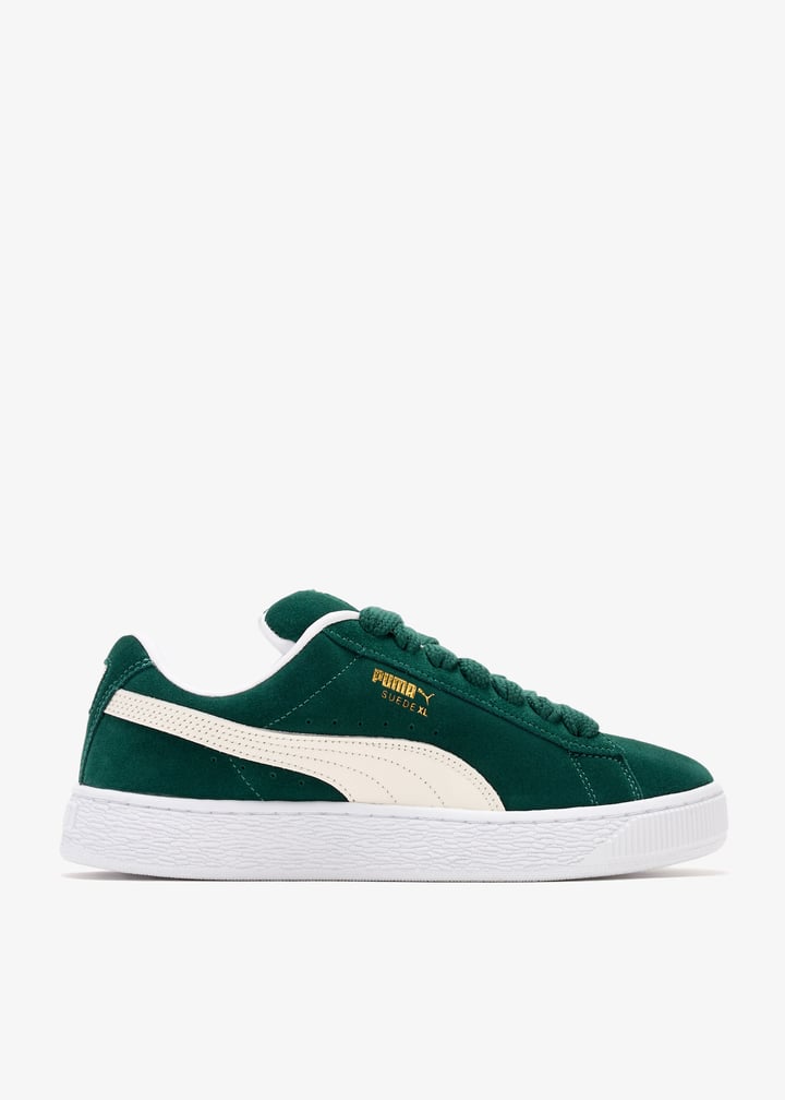 395205-21_1.jpg?ts=20241224041517