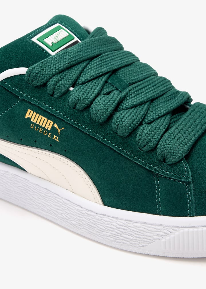 395205-21_5.jpg?ts=20241224041517