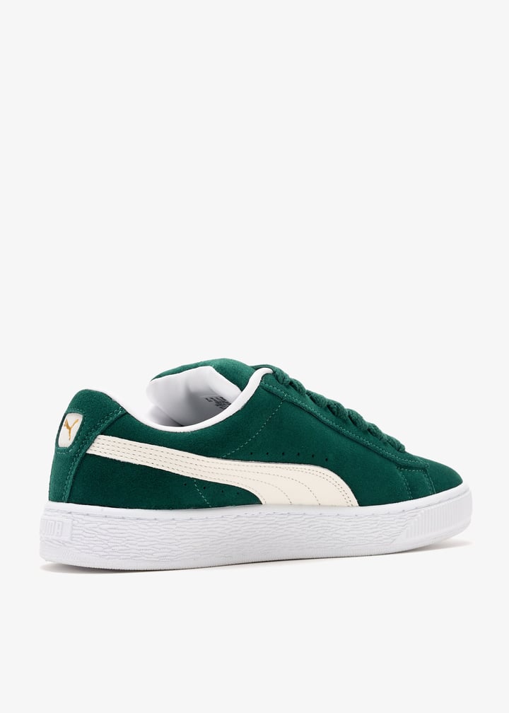 395205-21_6.jpg?ts=20241224041517