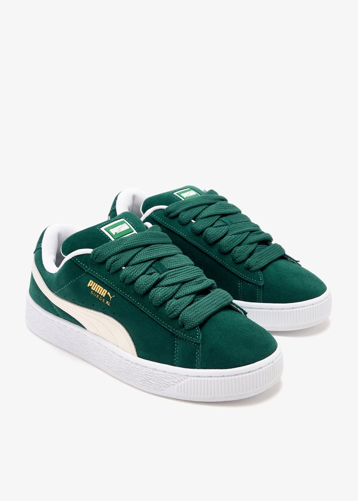 395205-21_7.jpg?ts=20241224041517