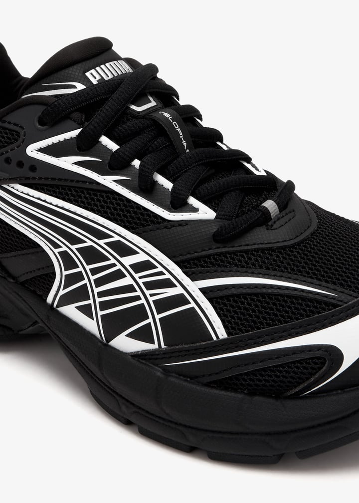 395908-02_5.jpg?ts=20241225030516