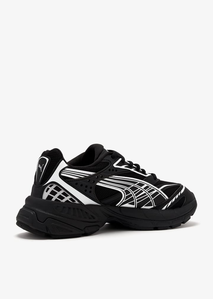 395908-02_6.jpg?ts=20241225030516