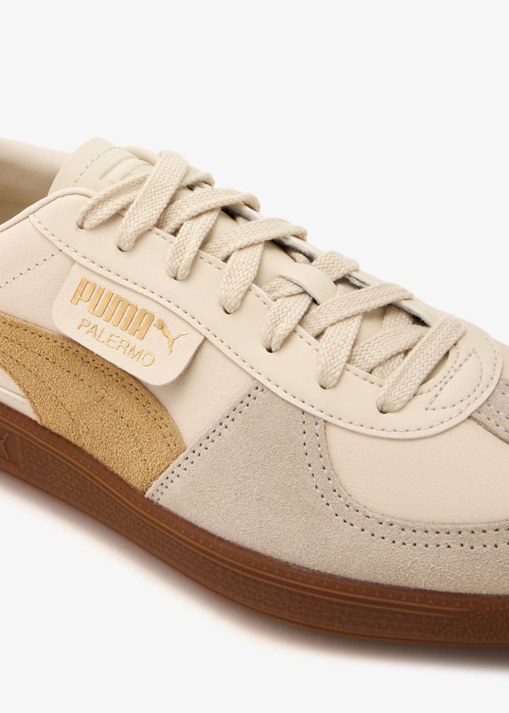 396464-13_5.jpg?ts=20241225030516