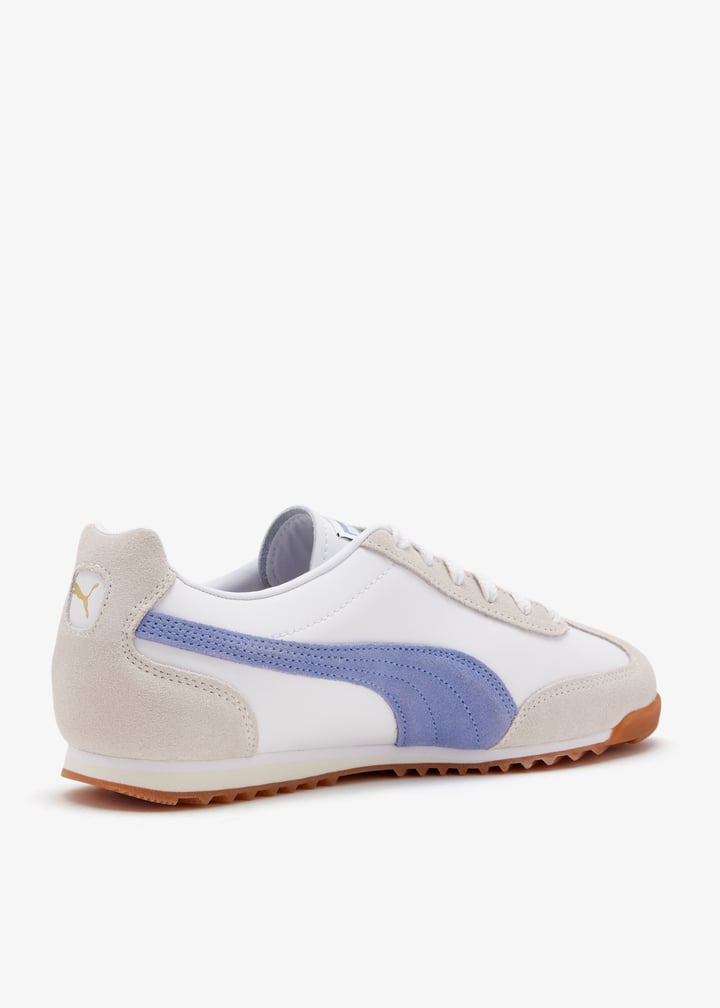 402353-12_6.jpg?ts=20260307020535