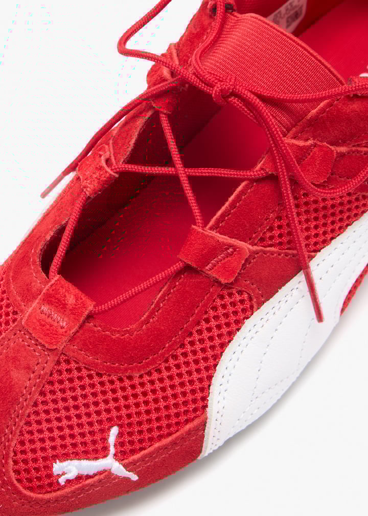 403589-02_5.jpg?ts=20260311043539