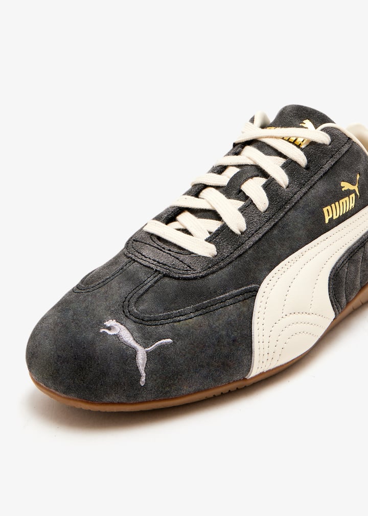 403688-03_5.jpg?ts=20250812030521