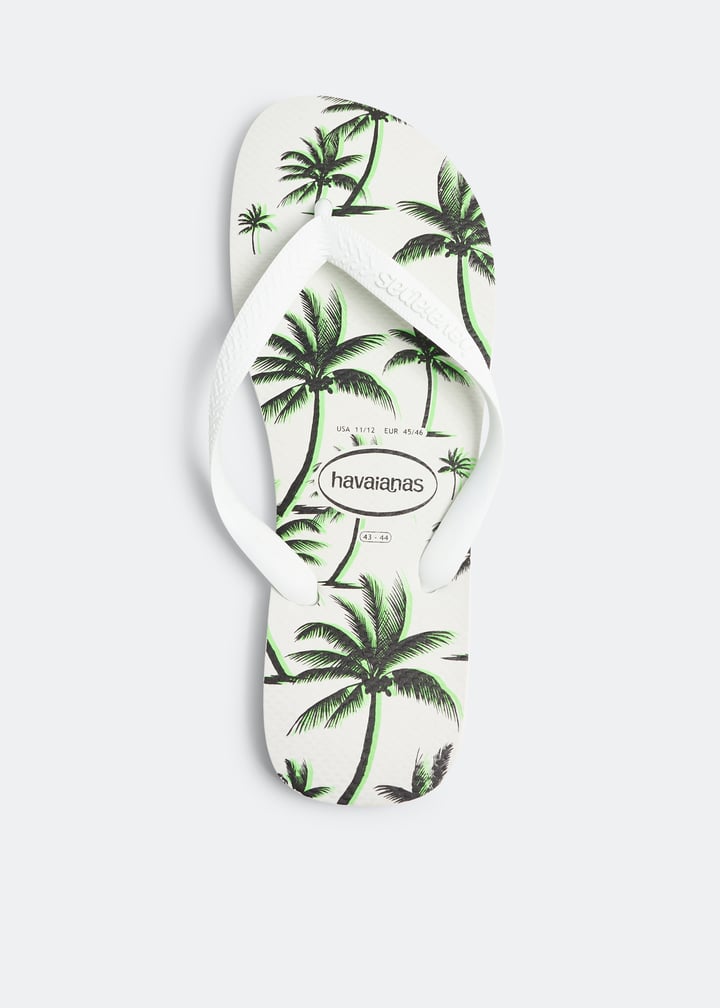 4111355-2844_1.jpg?ts=20230816033509