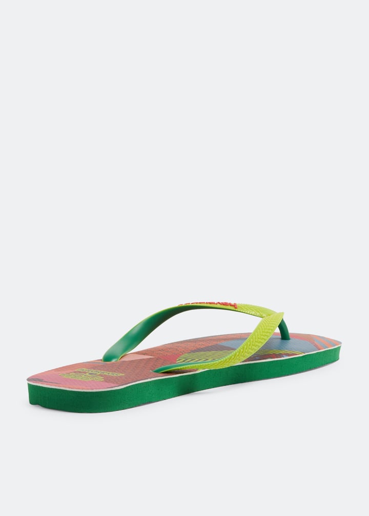 4147603-2703_4.jpg?ts=20230816030517