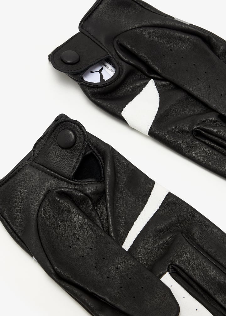 421370-01_6.jpg?ts=20260302201122