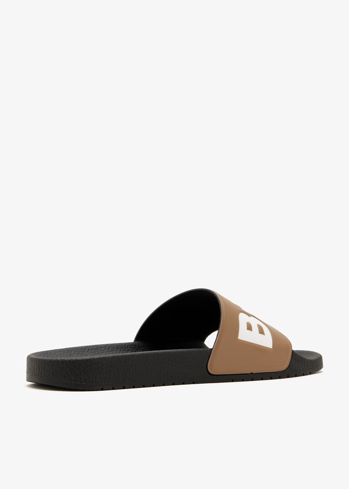 50536835-261_6.jpg?ts=20260110021036