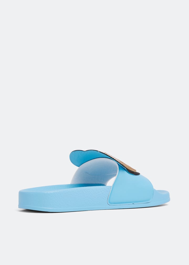 7449005-skyblu_3.jpg?ts=20230412220014