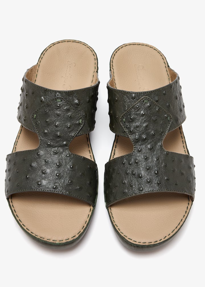 76117-olive_7.jpg?ts=20250607030525