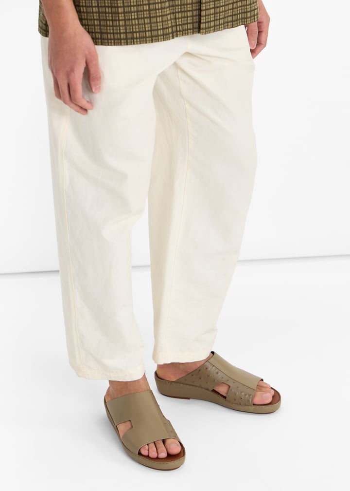 76123-earth_2.jpg?ts=20260228022555