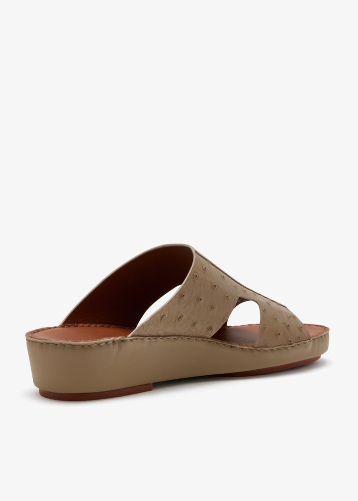 76123-earth_6.jpg?ts=20260228022555